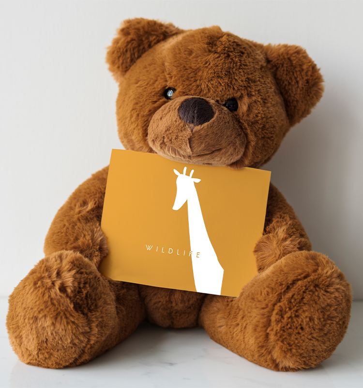 Teddy Bear (15 inch)