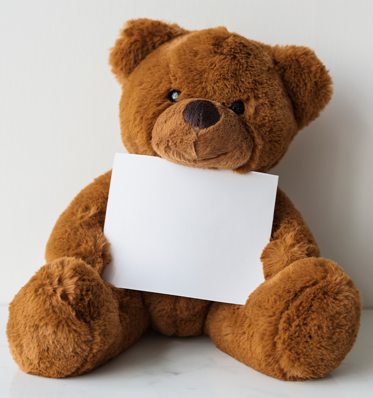 Teddy Bear (18 inch)