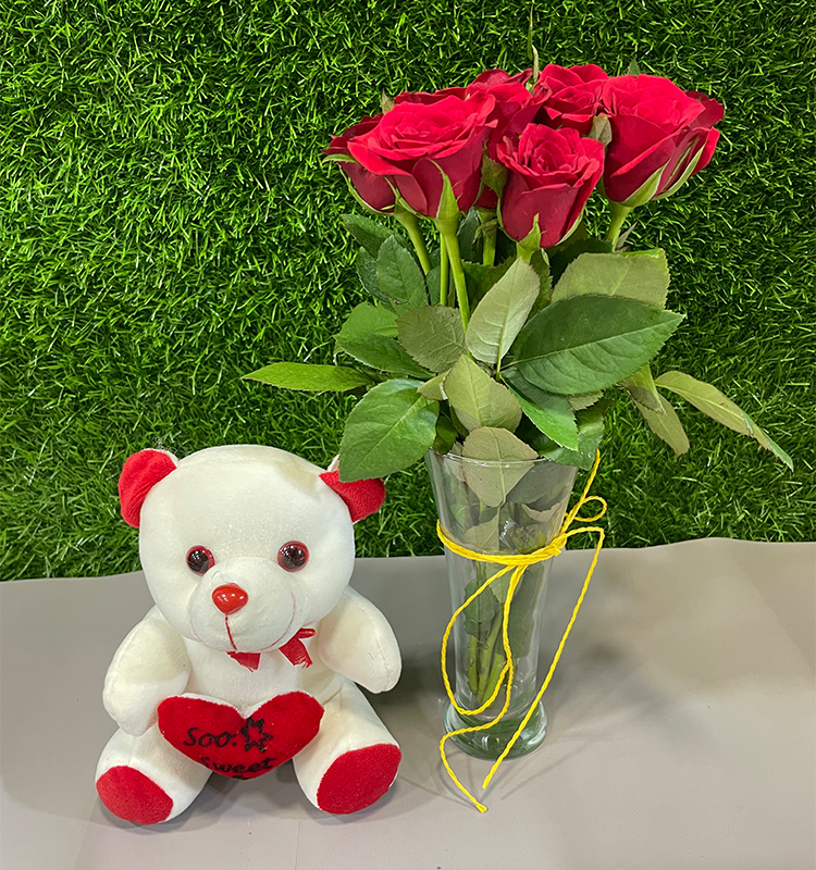 Red Rose with Teddy