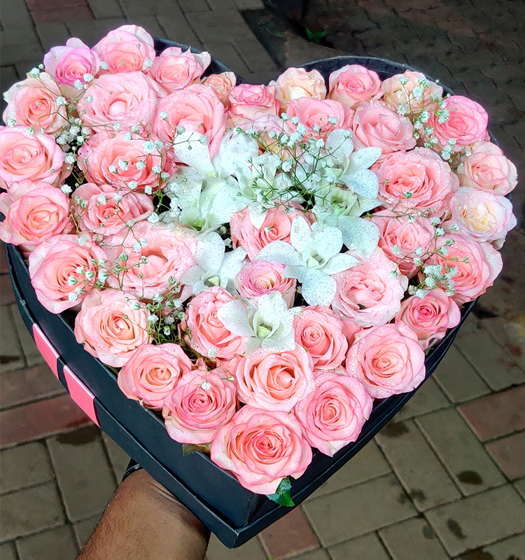 50 Pink Roses & White Orchids in Black Wardrobe Box