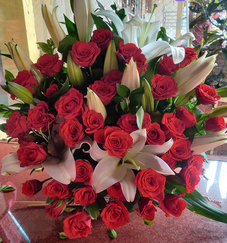 Blooming Beauty
