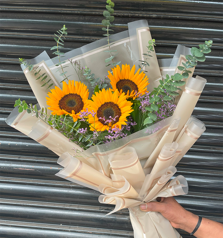 Sunflower’s Splash