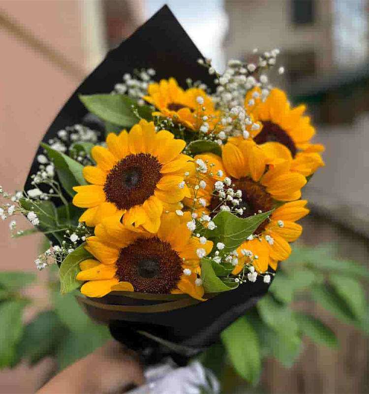 Sunflower Bunch